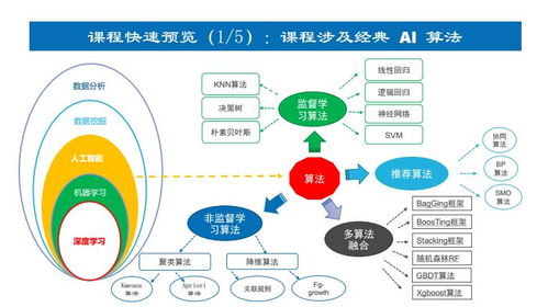 上海人工智能軟件開發培訓如何選？深入解析上海容大職業與淘學培訓